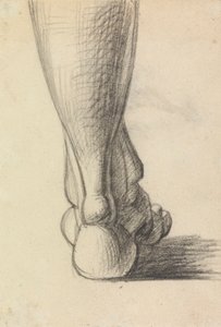 Anatomische Studie der Ferse eines Fußes von Benjamin Robert Haydon