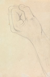 Studie einer Hand, zur Faust geballt