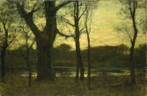 Ein Teich im Wald von Benjamin Rutherford Fitz