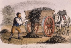 Landwirtschaft, für Dünger, um 1845