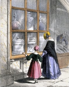 Blutegel und Zahnputzpulver, aus Krustentiere und Reptilien in Grafische Illustrationen von Tieren - Ihre Nützlichkeit für den Menschen während ihres Lebens und ihre Verwendung nach dem Tod, ca. 1845