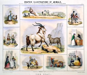 Die Ziege, ca. 1850