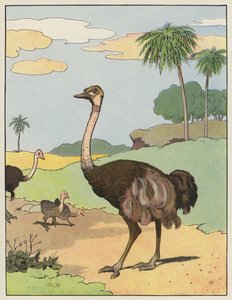 Strauß von Benjamin Rabier