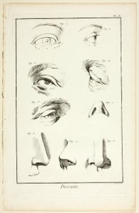 Entwurf: Gesichtsanatomie aus der Encyclopédie