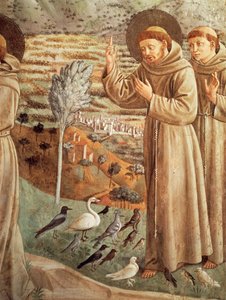 Geschichten aus dem Leben des Heiligen Franziskus, Predigt an die Vögel von Benozzo di Lese di Sandro Gozzoli
