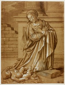 Madonna und Kind von Benvenuto Tisi da Garofalo
