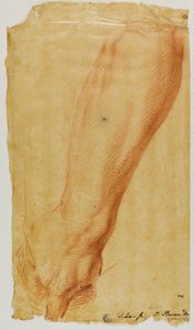 Linker Arm eines Jägers von Bernard Baron