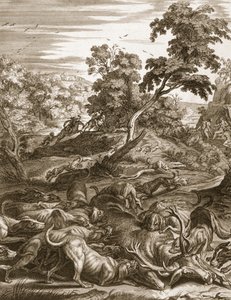 Actaeon wird in einen Hirsch verwandelt und von seinen Hunden verschlungen, 1731