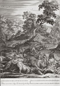 Actaeon wird in einen Hirsch verwandelt und von seinen Hunden verschlungen, 1731 von Bernard Picart