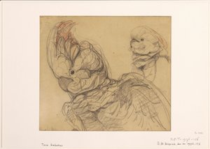 Zwei Kakadus, halbfigur von Bernard Willem Wierink