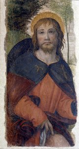 Darstellung des Heiligen Rochus. Fresko der Schule von Bernardino de Scapis, bekannt als Bernardino Luini (1485-1532). 16. Jahrhundert von Bernardino (school of) Luini