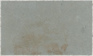 Teil des Kopfes eines Mannes von Bernardino Lanino (possibly)