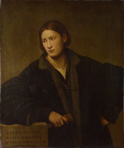 Porträt von Stefano Nani, 1528 von Bernardino Licinio