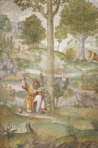 Cephalus versteckt die Juwelen, ca. 1520-1522 von Bernardino Luini