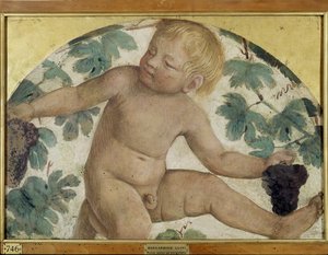 Erntende Putti - Putto unter einer Pergola, ca. 1514 (abgelöster Fresko auf Holz) von Bernardino Luini