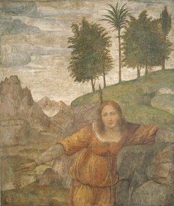 Prokris, vom Speer des Kephalos durchbohrt von Bernardino Luini