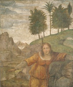 Prokris von Cephalus
