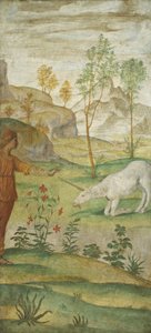 Procris und das Einhorn