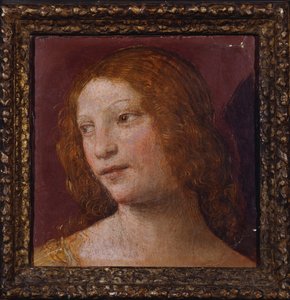 Der Kopf eines Engels - ein Fragment von Bernardino Luini
