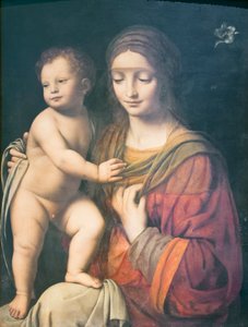 Jungfrau und Kind von Bernardino Luini