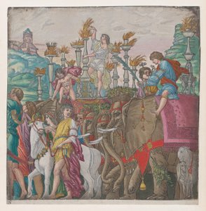 Blatt 5: Elefanten, aus Der Triumph von Julius Caesar, 1599 von Bernardo Malpizzi