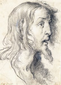 Das Haupt Christi im Profil nach rechts