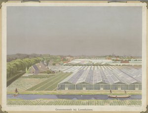 Gemüseanbau bei Loosduinen von Bernardus Bueninck