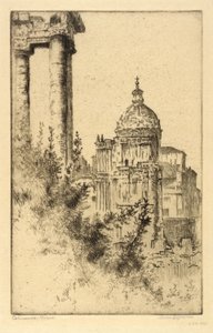 Säulen, Römisches Forum