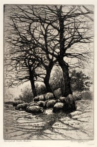 Hampstead Heath, London von Bertha E. Jaques