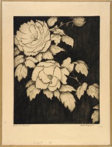 Japanische Pfingstrosen von Bertha E. Jaques