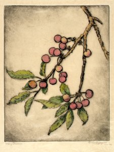 Mai-Kirschen von Bertha E. Jaques