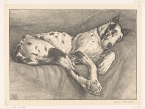 Schlafender Hund von Bertha van Hasselt (signed by artist)