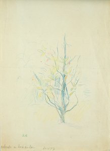Büsche am See von Berthe Morisot