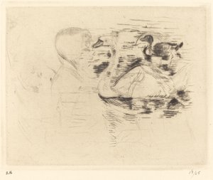 Schwäne im stehenden Wasser von Berthe Morisot