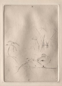 Die Ente, 1888-90 von Berthe Morisot