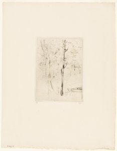 Der See im Bois de Boulogne von Berthe Morisot