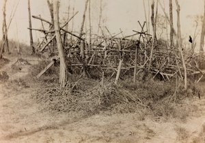 Album des Ersten Weltkriegs in Friaul-Julisch Venetien: Verteidigungshindernis (Spanische Reiter), 05/1916