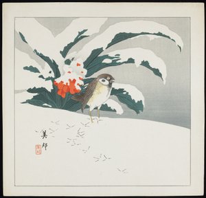 Vogel im Schnee, frühes 20. Jahrhundert von Biho Takashi or Takahashi (b. 1873. fl 1890 1930)