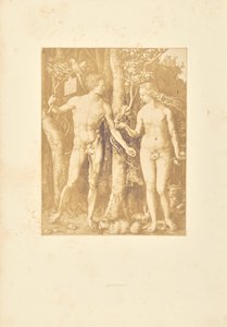 Adam und Eva von Bisson Frères