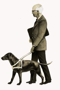 Blindenführhund
