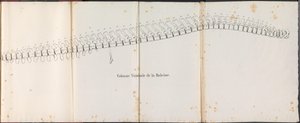 Wirbelsäule des Wals, 1827
