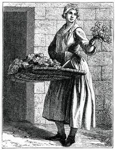 Meine schönen Nelken!, 1737-1742
