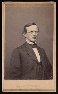 Porträt von Lyman Trumbull 1813-1896, zwischen 1864 und 1868 von Brady