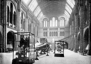 Eingangshalle des Naturhistorischen Museums, South Kensington, London, 1890