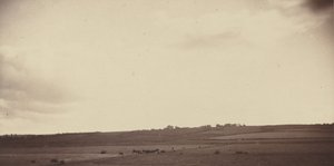 Ansicht von Feldern mit Kühen, 1850er-1860er Jahre (Foto) von British Photographer