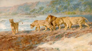 Am Ufer eines afrikanischen Flusses von Briton Riviere