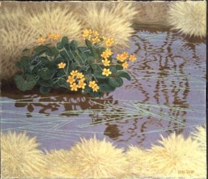 Sumpfdotterblumen von Bror Lindh