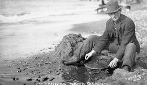 Mann beim Goldwaschen am Strand, Nome, Alaska, um 1910 von Brothers Lomen