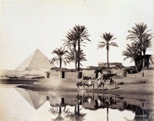 Kamele trinken am Fuße der Pyramiden von Ägypten - Fotografie der Zangali-Brüder, Ende des 19. Jahrhunderts von Brothers Zangaki