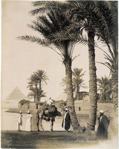 Palmenhain am Fuße der Pyramiden von Ägypten - Fotografie der Zangali-Brüder, Ende des 19. Jahrhunderts